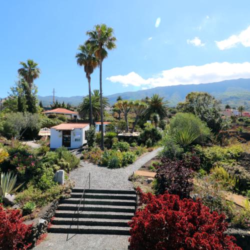 La Palma - Apartments Miranda - Garden and Reception