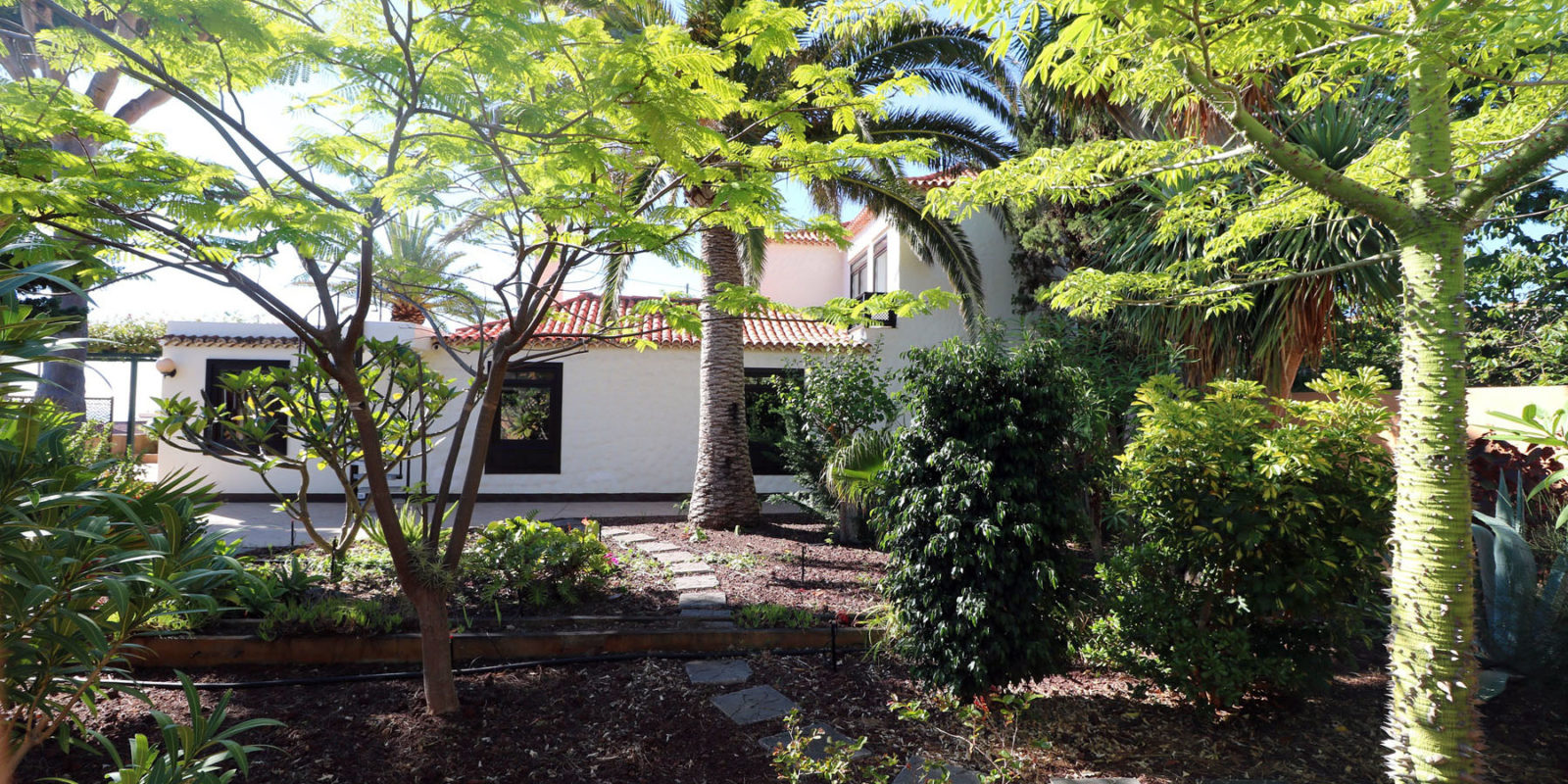 La Palma - Villa Escondida - Garden