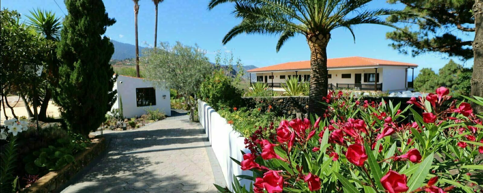 La Palma - Apartments Miranda - Entrance
