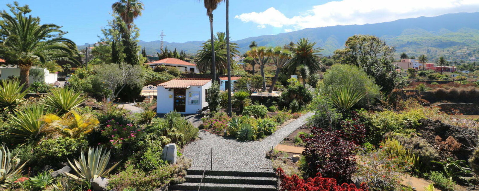 La Palma - Apartments Miranda - Garden